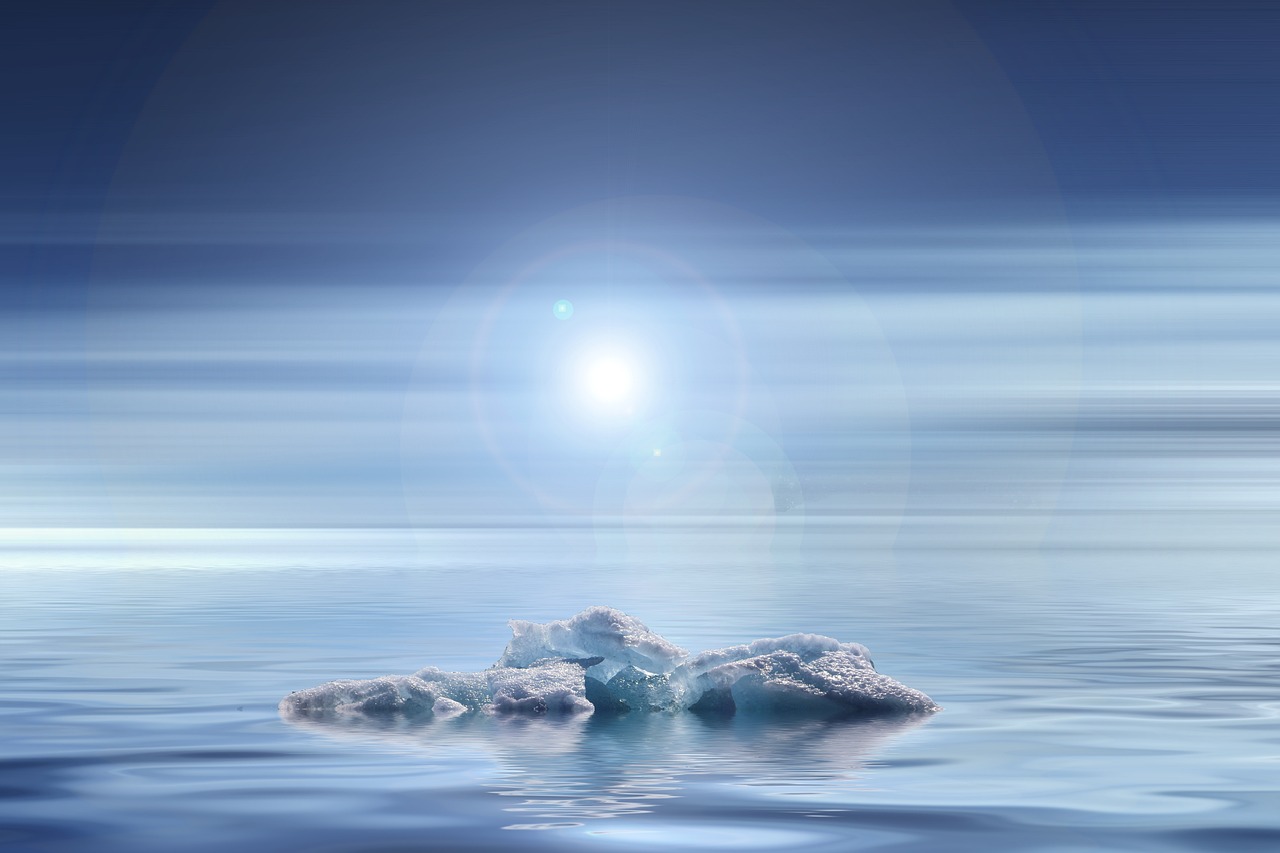 Climate Change: A Driving Factor for the Sixth Mass Extinction?